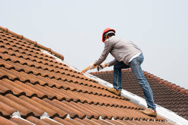 Best Gutter Installation and Repair  in Tappahannock, VA